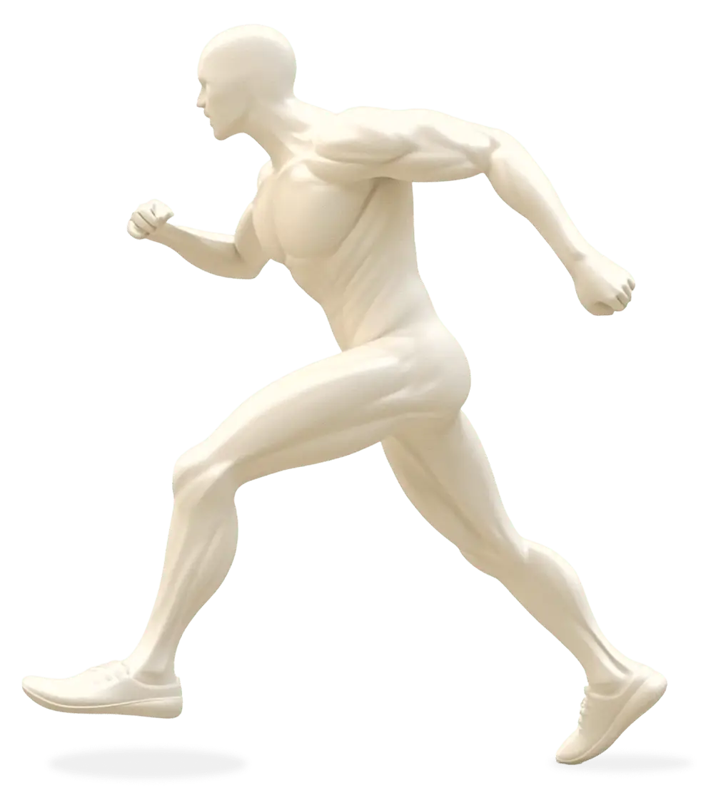 Diagram of the body regions treated at Wellsprings Health